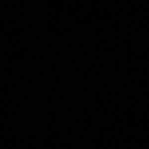 Meet your Posher, Donald